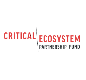 CEPF